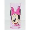 Disneyland Paris Minnie Mouse Character Drinking Glass